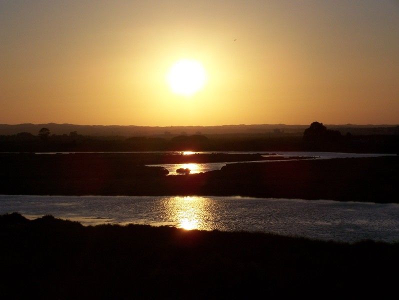 Leo Jardines De Isla Canela Buitenkant foto